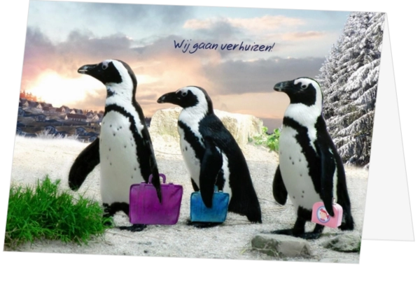 Verhuiskaart pinguïn familie tasjes