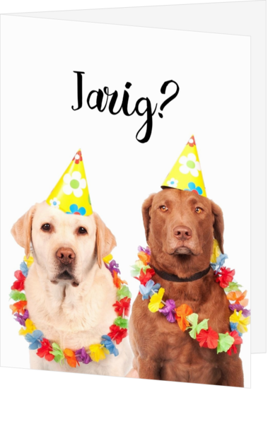 Onwijs Verjaardagskaart hond labrador mak17052406v | Kaartjeposten.nl IU-18