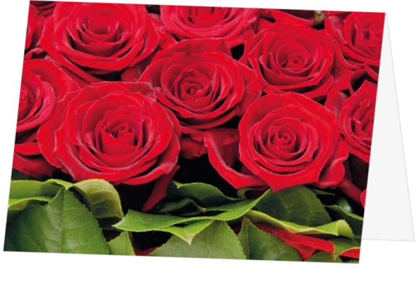 Liefdeskaart rode rozen