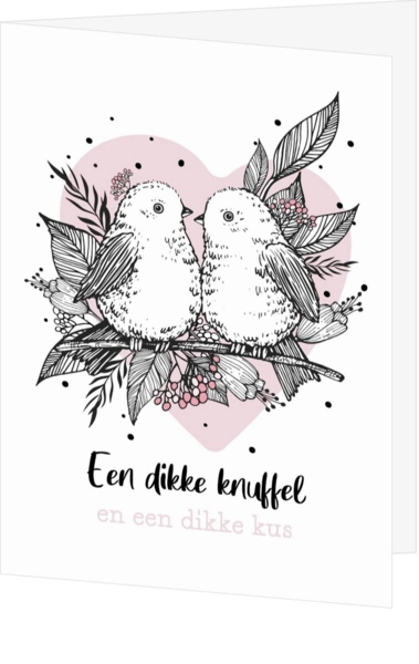 Dikke knuffel kaart twee vogeltjes met roze hart
