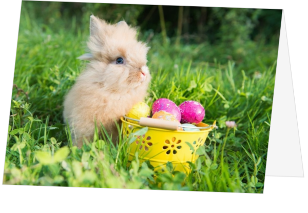 Paaskaart konijn met eieren