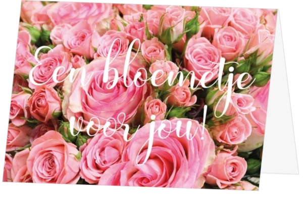 Roze rozen met de tekst voor jou!