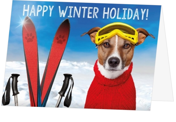 Happy winter holiday dog with skis