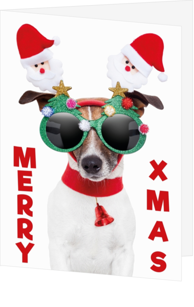 Funny dog met kerstbril