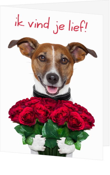 Funny dog met grote bos rozen