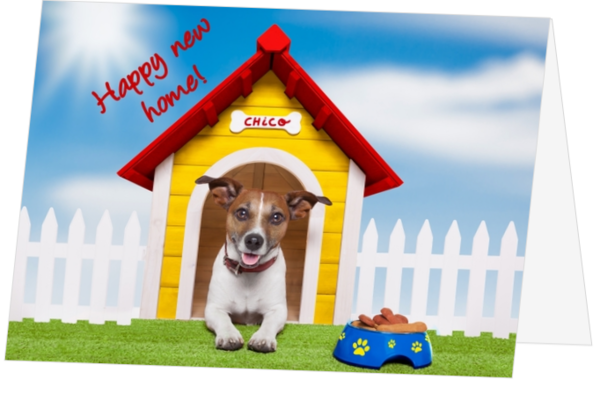 Happy New home funny dog