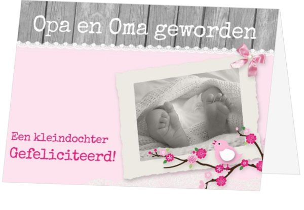Felicitatiekaart opa en oma geworden - kaart gefeliciteerd-opa-en-oma-jb-15003