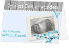 Felicitatiekaart opa en oma geworden - kaart gefeliciteerd-opa-en-oma-jb-15002