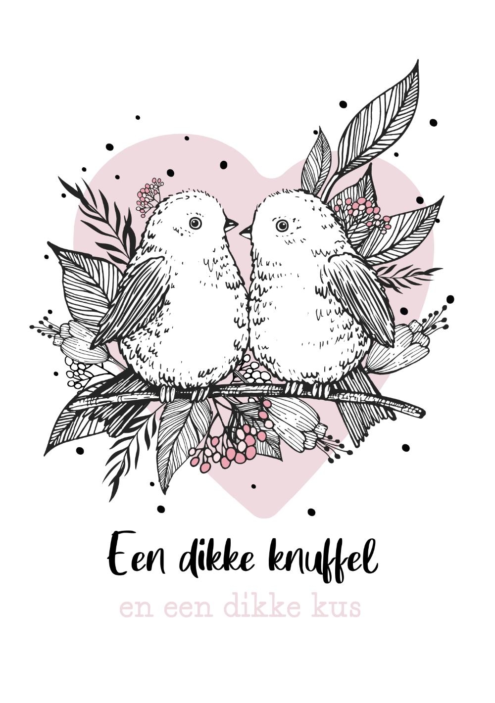 Dikke knuffel kaart twee vogeltjes met roze hart Voorkant