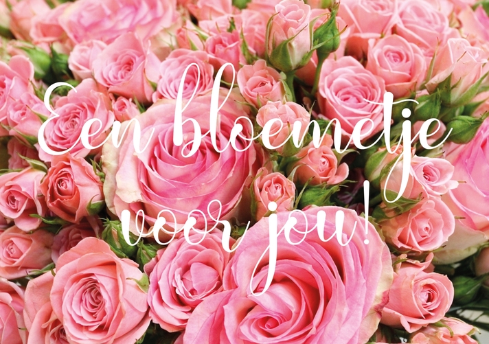 Roze rozen met de tekst voor jou! Voorkant