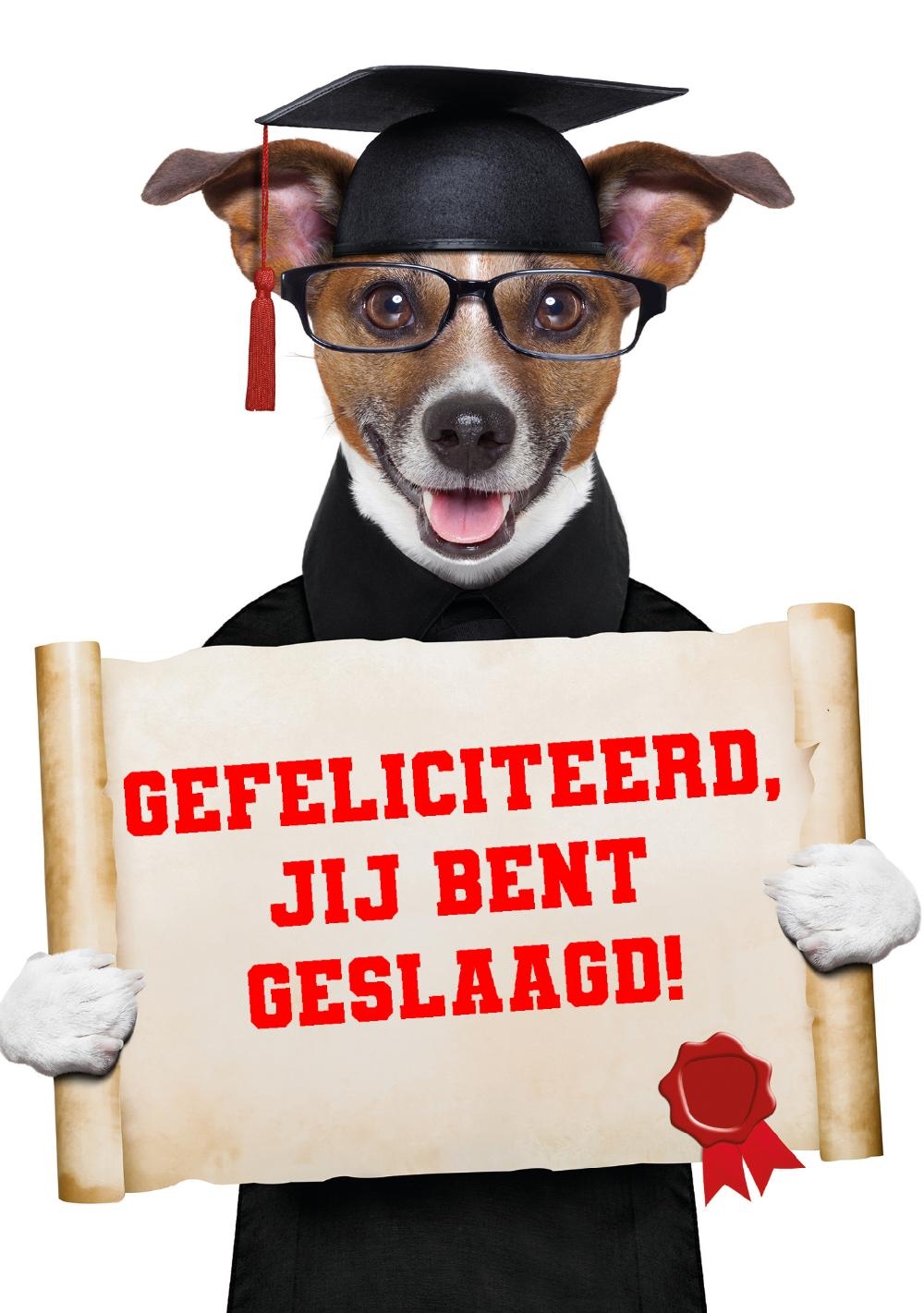 Gefeliciteerd met je diploma, happy dog Voorkant