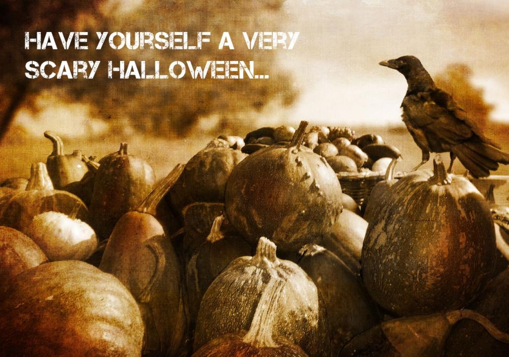 Halloweenkaart 'Een kraai in pompoenen veld'  Voorkant