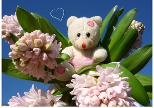 Beterschapskaart lieve knuffelbeer met bloemen
