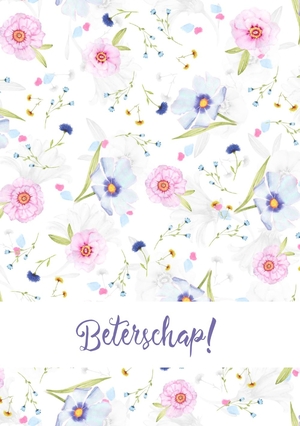 beterschapskaart-bloemen-roze-paars-mak17012301b