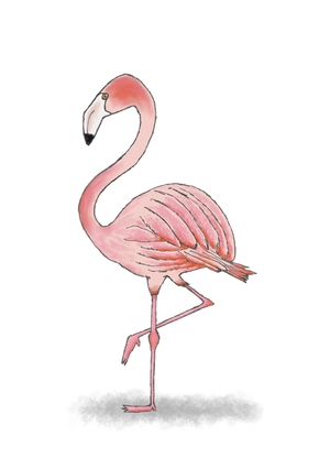 Zomaar kaart flamingo