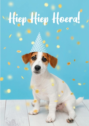 Verjaardagskaart met hondje met feestmutsje