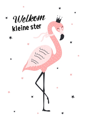 Geboorte felicitatiekaart flamingo