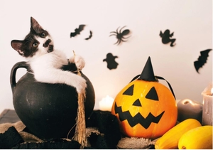 Lief Halloween kaartje met kitten